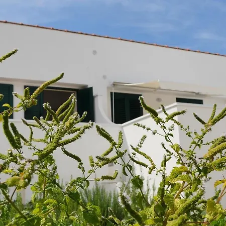Dorata * Peschici