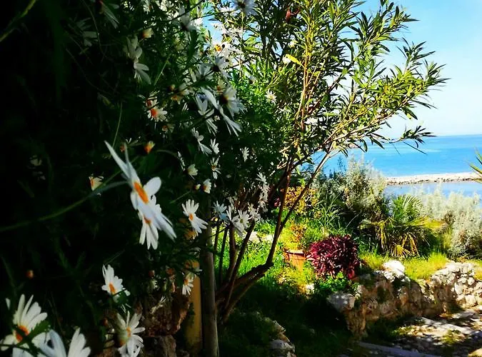 Dorata Tatil Evi *